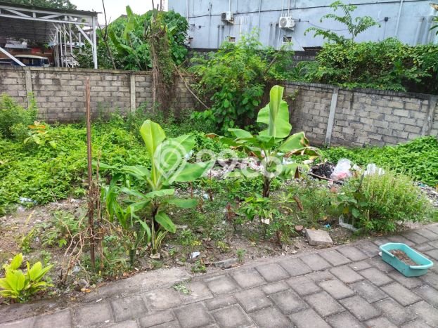 Tanah Kavling untuk Dijual di Denpasar Barat Denpasar 105m2 Tanah Kavling untuk Dijual di Denpasar Barat Denpasar 105m2