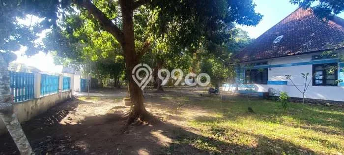 Disewakan Rumah Konsep Modern di Raba Bima dengan 2 KT Disewakan Rumah Konsep Modern di Raba Bima dengan 2 KT