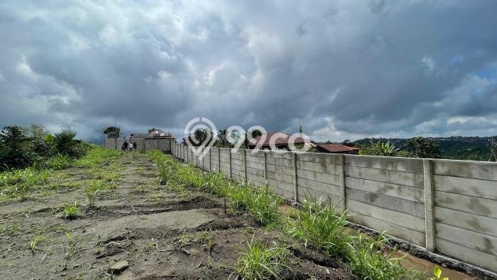 Untuk Disewa Tanah di Kintamani Luas 4270m2 - Untuk Disewa Tanah di Kintamani Luas 4270m2 -