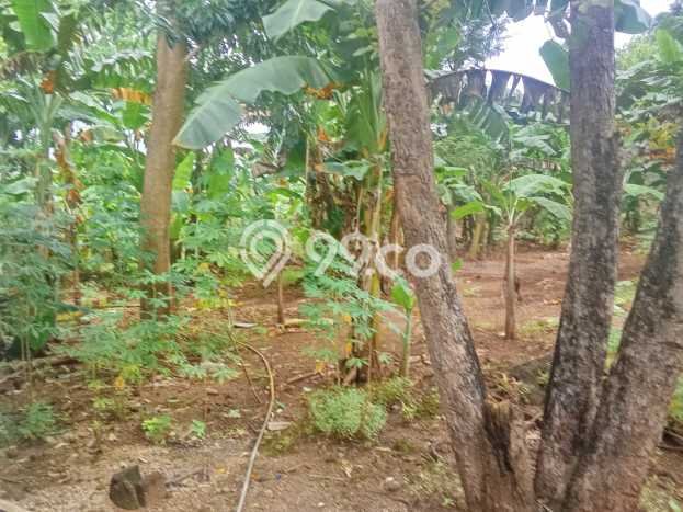 Tanah Komersial Dijual di Kupang Tengah Kupang 8726m2 Tanah Komersial Dijual di Kupang Tengah Kupang 8726m2