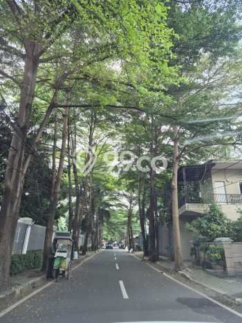 Tanah untuk Dijual Lokasi Kebayoran Lama, Jakarta Selatan Luas 732m2 - Tanah untuk Dijual Lokasi Kebayoran Lama, Jakarta Selatan Luas 732m2 -