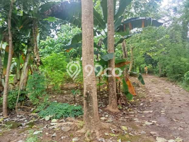 Tanah Komersial Dijual di Kupang Tengah Kupang 8726m2 Tanah Komersial Dijual di Kupang Tengah Kupang 8726m2