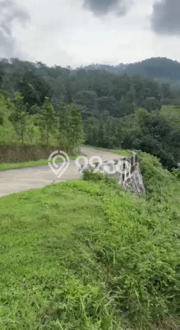 Tanah Kosong Dijual di Pasuruan dengan Area 160m2 Tanah Kosong Dijual di Pasuruan dengan Area 160m2