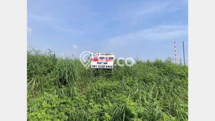 Tanah Kavling untuk Dijual di Ngoro Mojokerto 17725m2 Tanah Kavling untuk Dijual di Ngoro Mojokerto 17725m2