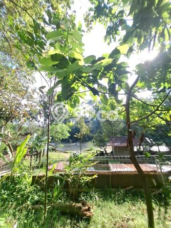 Dijual Tanah 543m2 di Pamoyanan, Bogor Dijual Tanah 543m2 di Pamoyanan, Bogor