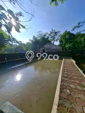Dijual Tanah 543m2 di Pamoyanan, Bogor Dijual Tanah 543m2 di Pamoyanan, Bogor