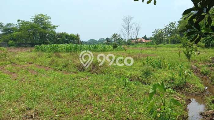 Dijual Tanah di Dramaga Bogor Luas 6216m2 SHM Dijual Tanah di Dramaga Bogor Luas 6216m2 SHM