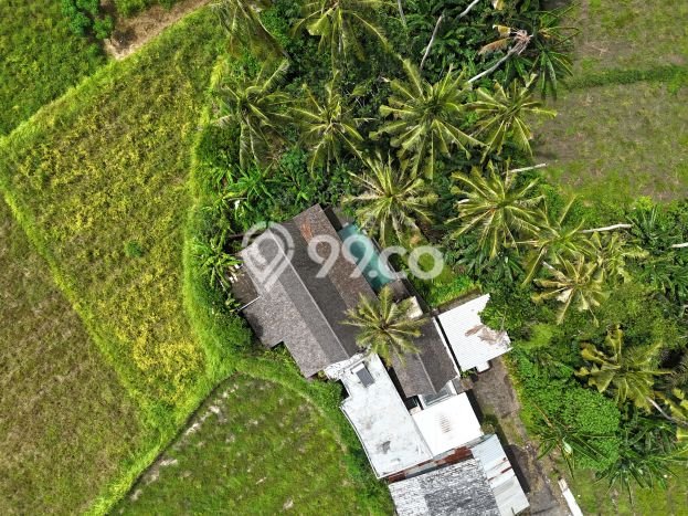 FOR SALE! Vila Kawasan , Area 428m2m², Lokasi Premium FOR SALE! Vila Kawasan , Area 428m2m², Lokasi Premium