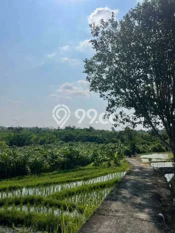 For Rent Vila Strategis Kawasan , Luas 0m2m², Lokasi Terbaik For Rent Vila Strategis Kawasan , Luas 0m2m², Lokasi Terbaik