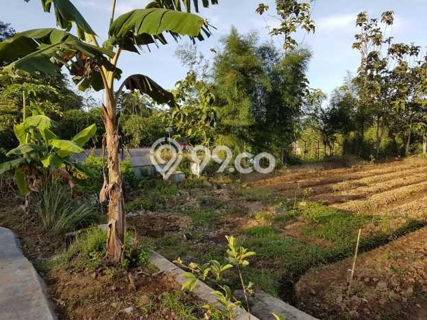 Vila di Caringin, Ukuran 4300m2m², Kawasan Tenang untuk tempat tinggal Vila di Caringin, Ukuran 4300m2m², Kawasan Tenang untuk tempat tinggal