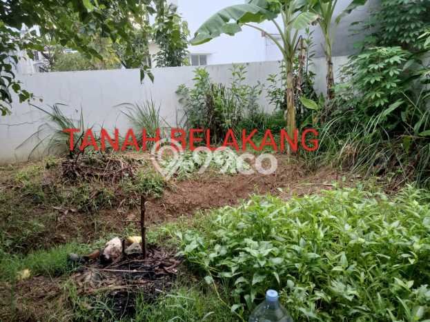 Rumah Luas Asri 3 KT Siap Huni di Sukamaju Bogor Rumah Luas Asri 3 KT Siap Huni di Sukamaju Bogor