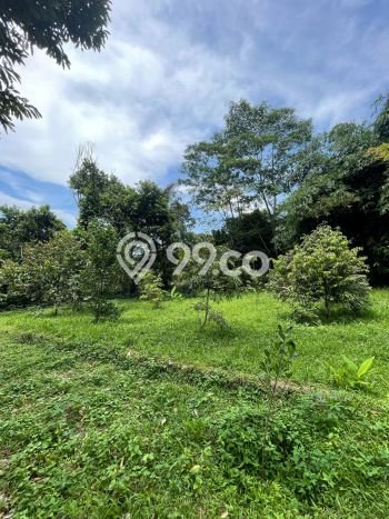 Kavling Tanah Dijual di Jonggol, Bogor, Luas 1110m2 Area Strategis Kavling Tanah Dijual di Jonggol, Bogor, Luas 1110m2 Area Strategis