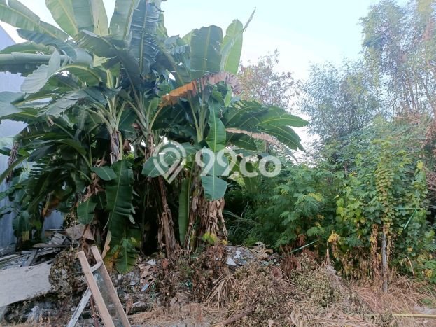 Kavling Tanah di Sidoarjo Dijual Luas 240m2 Legalitas - Kavling Tanah di Sidoarjo Dijual Luas 240m2 Legalitas -