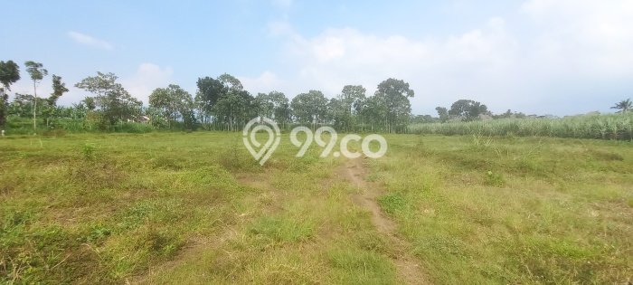 Tanah di Pakis, Malang Luas 72m2 Dijual Segera Tanah di Pakis, Malang Luas 72m2 Dijual Segera