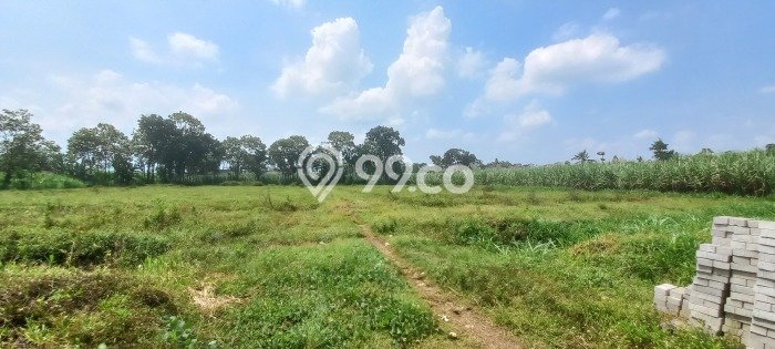 Tanah Strategis Dijual di Pakis Malang 72m2 Tanah Strategis Dijual di Pakis Malang 72m2