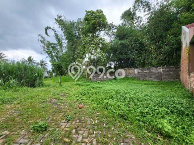 Tanah Dijual Lokasi Kedungkandang Malang SHM Tanah Dijual Lokasi Kedungkandang Malang SHM
