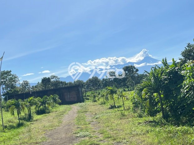 Tanah Kavling untuk Dijual di Pakis Malang 66m2 Tanah Kavling untuk Dijual di Pakis Malang 66m2