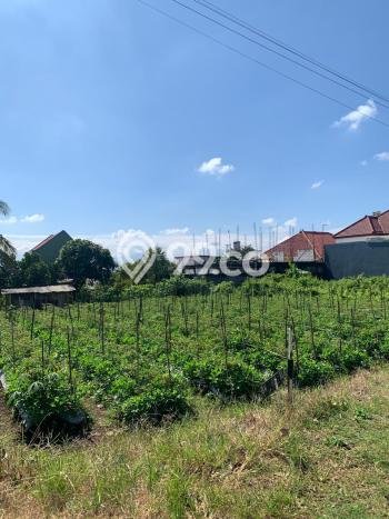 Dijual Tanah Lokasi Malang Kota, Malang Seluas 148m2 Dijual Tanah Lokasi Malang Kota, Malang Seluas 148m2