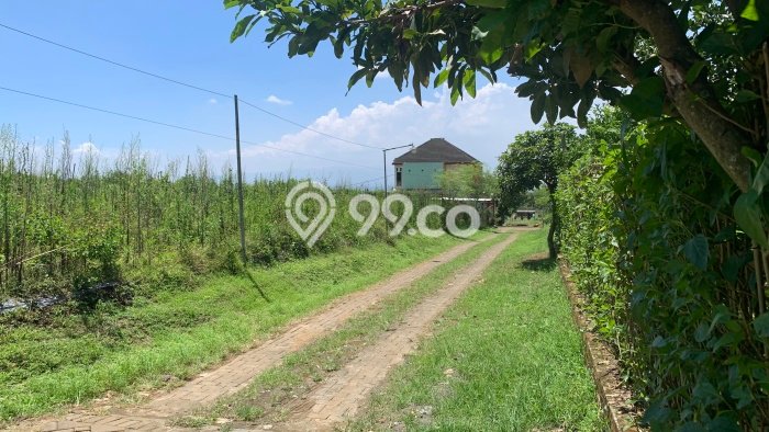 Tanah Dijual di Malang Seluas 60m2 Strategis Tanah Dijual di Malang Seluas 60m2 Strategis