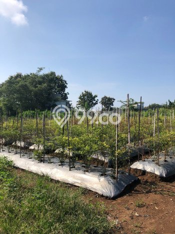 Kavling Tanah untuk Dijual di Merjosari, Malang, Luas 80m2 Kavling Tanah untuk Dijual di Merjosari, Malang, Luas 80m2