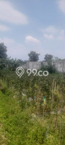 Tanah Dijual Area Strategis di Merjosari Malang 80m2 Tanah Dijual Area Strategis di Merjosari Malang 80m2