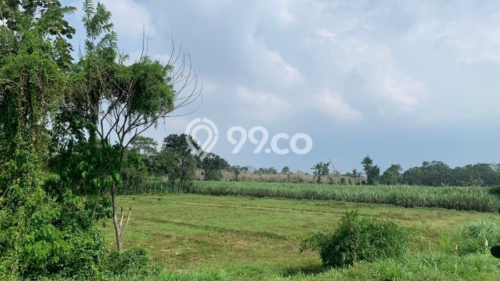 Kavling Tanah Dijual di Pakis, Malang, Luas 60m2 Area Strategis Kavling Tanah Dijual di Pakis, Malang, Luas 60m2 Area Strategis