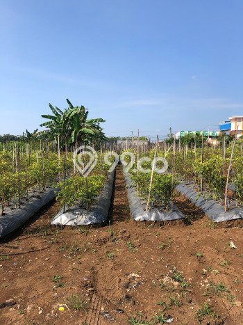 Kavling Tanah untuk Dijual di Merjosari, Malang, Luas 80m2 Kavling Tanah untuk Dijual di Merjosari, Malang, Luas 80m2