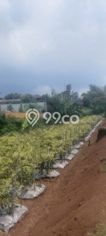 Tanah Dijual Area Strategis di Merjosari Malang 80m2 Tanah Dijual Area Strategis di Merjosari Malang 80m2