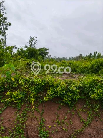 Lahan Kosong Dijual di Bogor dengan Area 21000m2 Lahan Kosong Dijual di Bogor dengan Area 21000m2