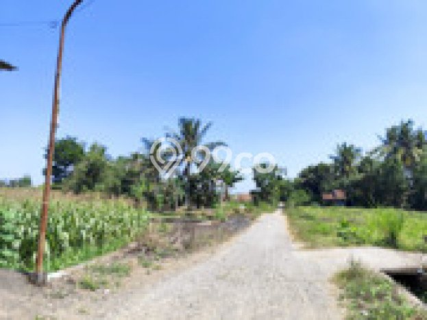 Lahan Strategis di Tempel Sleman Disewakan dengan Luas 1500m2 Lahan Strategis di Tempel Sleman Disewakan dengan Luas 1500m2
