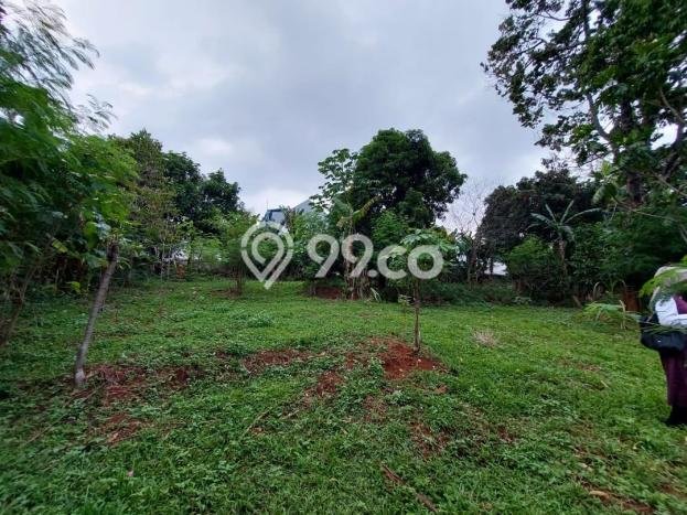 Tanah untuk Dijual di Jagakarsa Jakarta Selatan Luas 3235m2 Tanah untuk Dijual di Jagakarsa Jakarta Selatan Luas 3235m2