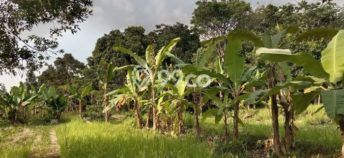Tanah untuk Dijual Lokasi Caringin, Bogor Luas 11349m2 SHM Tanah untuk Dijual Lokasi Caringin, Bogor Luas 11349m2 SHM