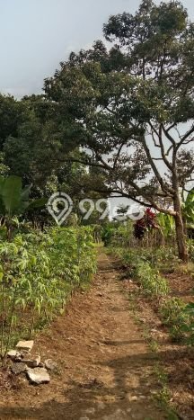 Tanah untuk Dijual Lokasi Caringin, Bogor Luas 11349m2 SHM Tanah untuk Dijual Lokasi Caringin, Bogor Luas 11349m2 SHM