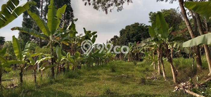 Tanah untuk Dijual Lokasi Caringin, Bogor Luas 11349m2 SHM Tanah untuk Dijual Lokasi Caringin, Bogor Luas 11349m2 SHM