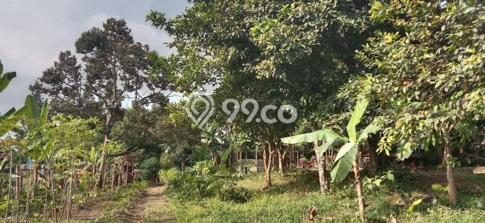 Tanah untuk Dijual Lokasi Caringin, Bogor Luas 11349m2 SHM Tanah untuk Dijual Lokasi Caringin, Bogor Luas 11349m2 SHM