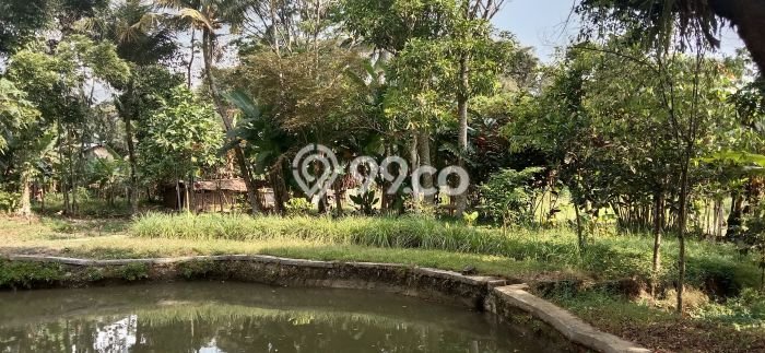 Tanah untuk Dijual Lokasi Caringin, Bogor Luas 11349m2 SHM Tanah untuk Dijual Lokasi Caringin, Bogor Luas 11349m2 SHM