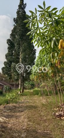 Tanah untuk Dijual Lokasi Caringin, Bogor Luas 11349m2 SHM Tanah untuk Dijual Lokasi Caringin, Bogor Luas 11349m2 SHM