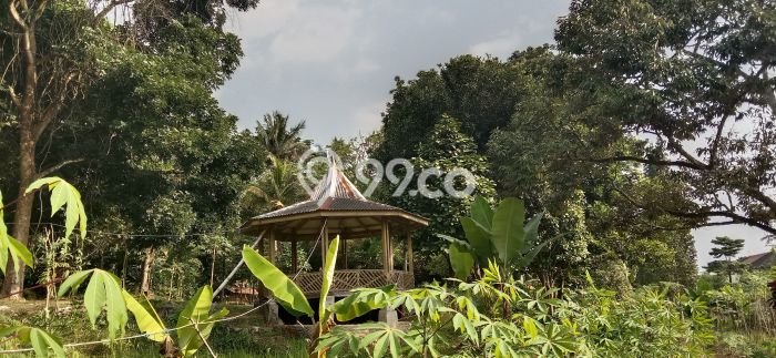Tanah untuk Dijual Lokasi Caringin, Bogor Luas 11349m2 SHM Tanah untuk Dijual Lokasi Caringin, Bogor Luas 11349m2 SHM