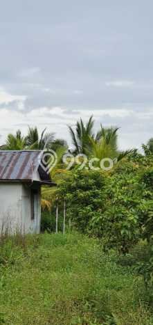 Tanah Dijual Lokasi Strategis di Pontianak dengan Luas 8100m2 Tanah Dijual Lokasi Strategis di Pontianak dengan Luas 8100m2