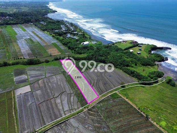 Kavling Tanah di Tabanan Dijual Luas 2810m2 Legalitas SHM Kavling Tanah di Tabanan Dijual Luas 2810m2 Legalitas SHM