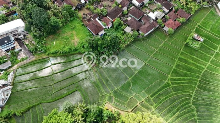 Jarang Ada! Tanah Kavling Disewakan di Badung 900m2 Jarang Ada! Tanah Kavling Disewakan di Badung 900m2