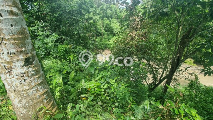 Dijual Tanah di Badung, Luas 900m2 SHM Dijual Tanah di Badung, Luas 900m2 SHM