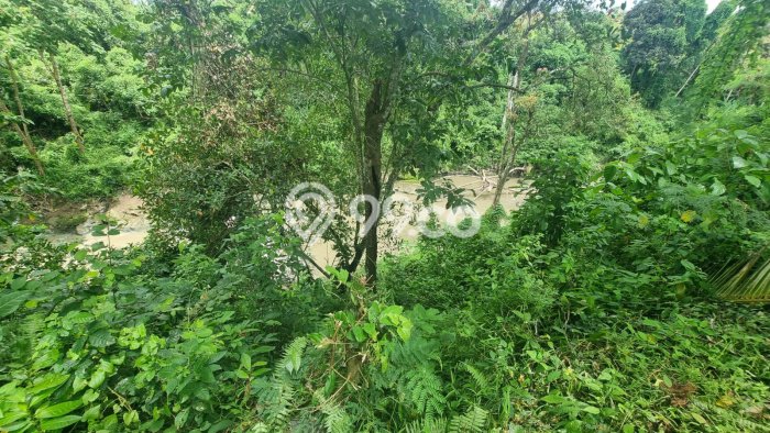 Dijual Tanah di Badung, Luas 900m2 SHM Dijual Tanah di Badung, Luas 900m2 SHM