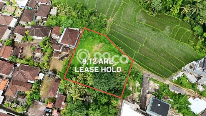 Jarang Ada! Tanah Kavling Disewakan di Badung 900m2 Jarang Ada! Tanah Kavling Disewakan di Badung 900m2