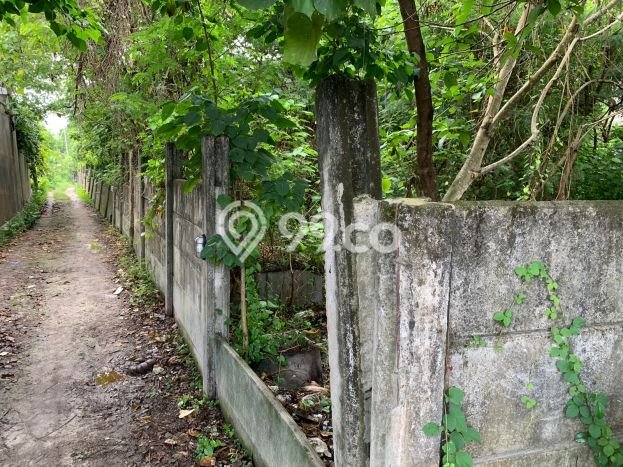 Dijual Tanah Lokasi Canggu, Badung Seluas 7000m2 Dijual Tanah Lokasi Canggu, Badung Seluas 7000m2