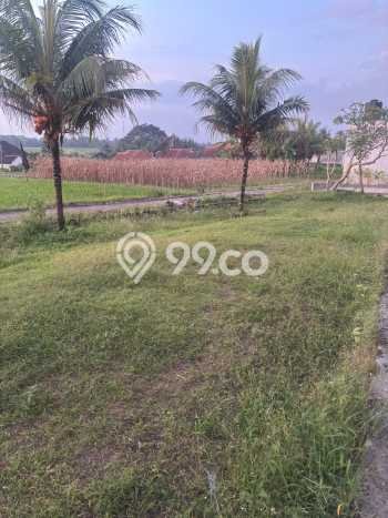 Kavling Tanah di Tabanan Dijual Luas 231m2 Legalitas SHM Kavling Tanah di Tabanan Dijual Luas 231m2 Legalitas SHM
