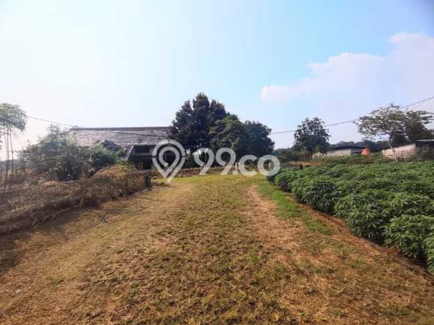 Tanah Dijual Lokasi Parung, Bogor dengan Luas Tanah 6202m2 dan Status - Tanah Dijual Lokasi Parung, Bogor dengan Luas Tanah 6202m2 dan Status -