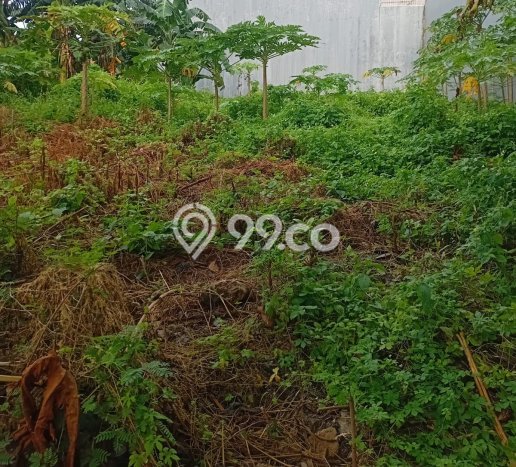 Tanah Dijual Lokasi Kemayoran Jakarta Pusat - Tanah Dijual Lokasi Kemayoran Jakarta Pusat -