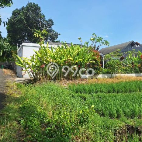 Vila Kawasan , Luas 0m2m², Dekat ke Badung, Badung Vila Kawasan , Luas 0m2m², Dekat ke Badung, Badung