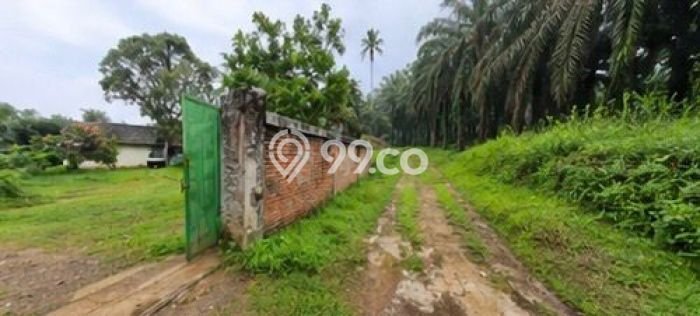 Tanah di Ranca Bungur, Bogor Luas 32827m2 Dijual Segera Tanah di Ranca Bungur, Bogor Luas 32827m2 Dijual Segera